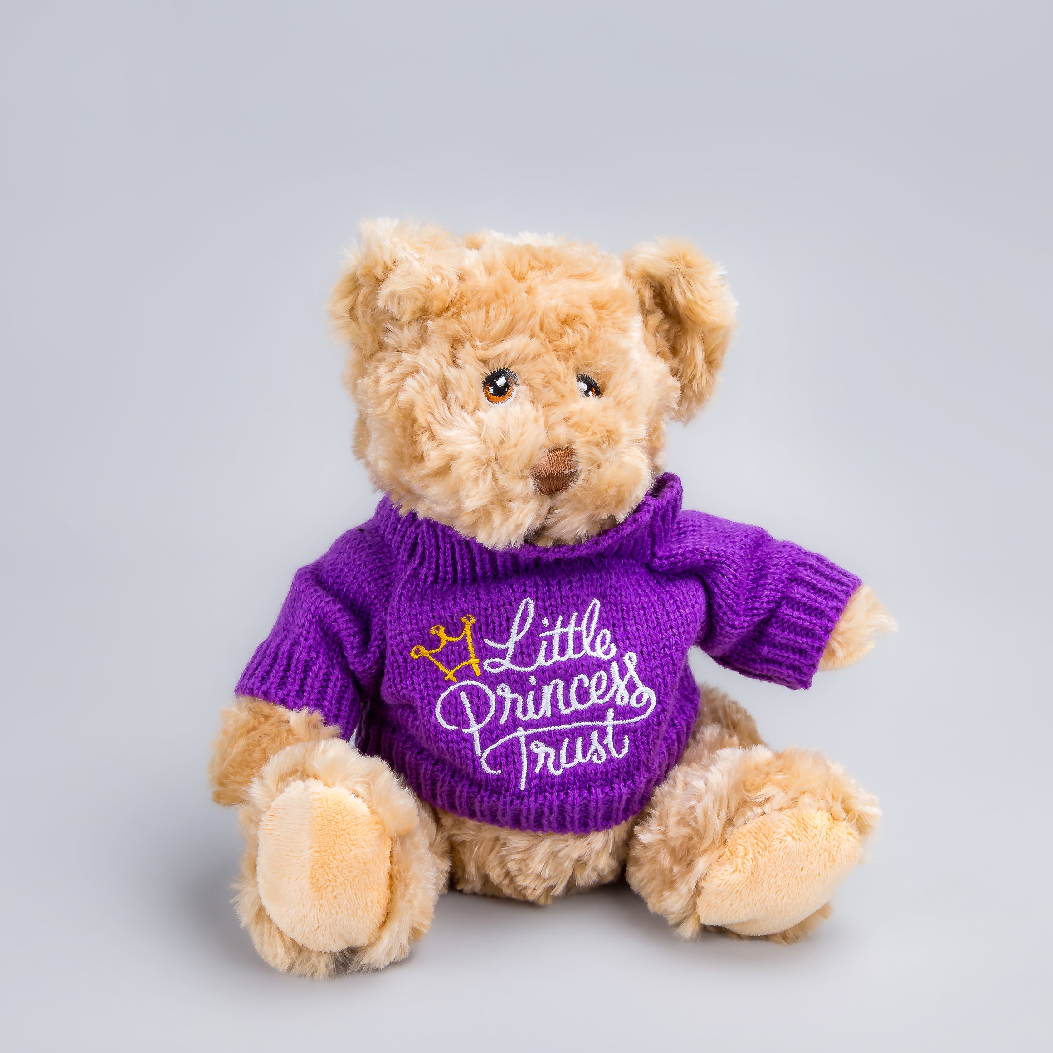 My little princess teddy bear online